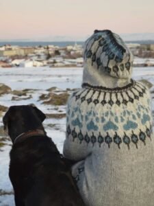 Wool jumper with paws